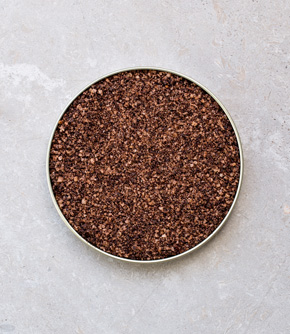 Grasshopper Salt (Sal de Chapulín)