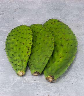 Fresh Cactus Paddles - Nopales 400g