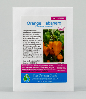 Orange Habanero Chilli Seeds