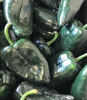 Fresh Dutch Poblano Chillies 300g