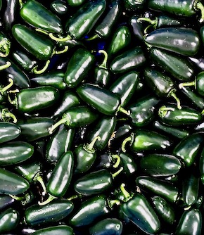 Fresh Jalapeño Chillies 150g