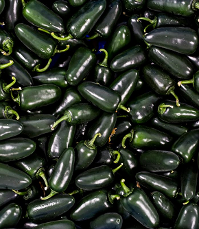 Fresh Jalapeño Chillies
