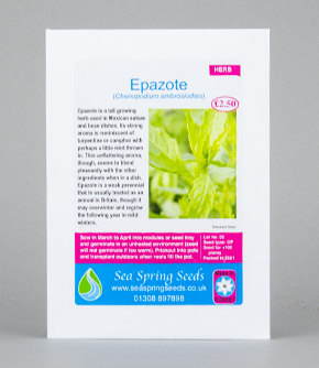 Epazote Seeds