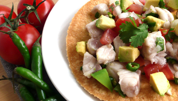 Ceviche tostadas - banner image