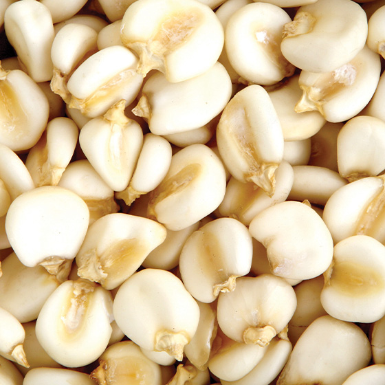 Maize - product image