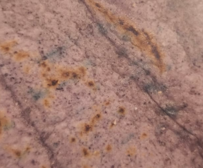 Are my blue tortillas mouldy? Probably not! thumbnail image