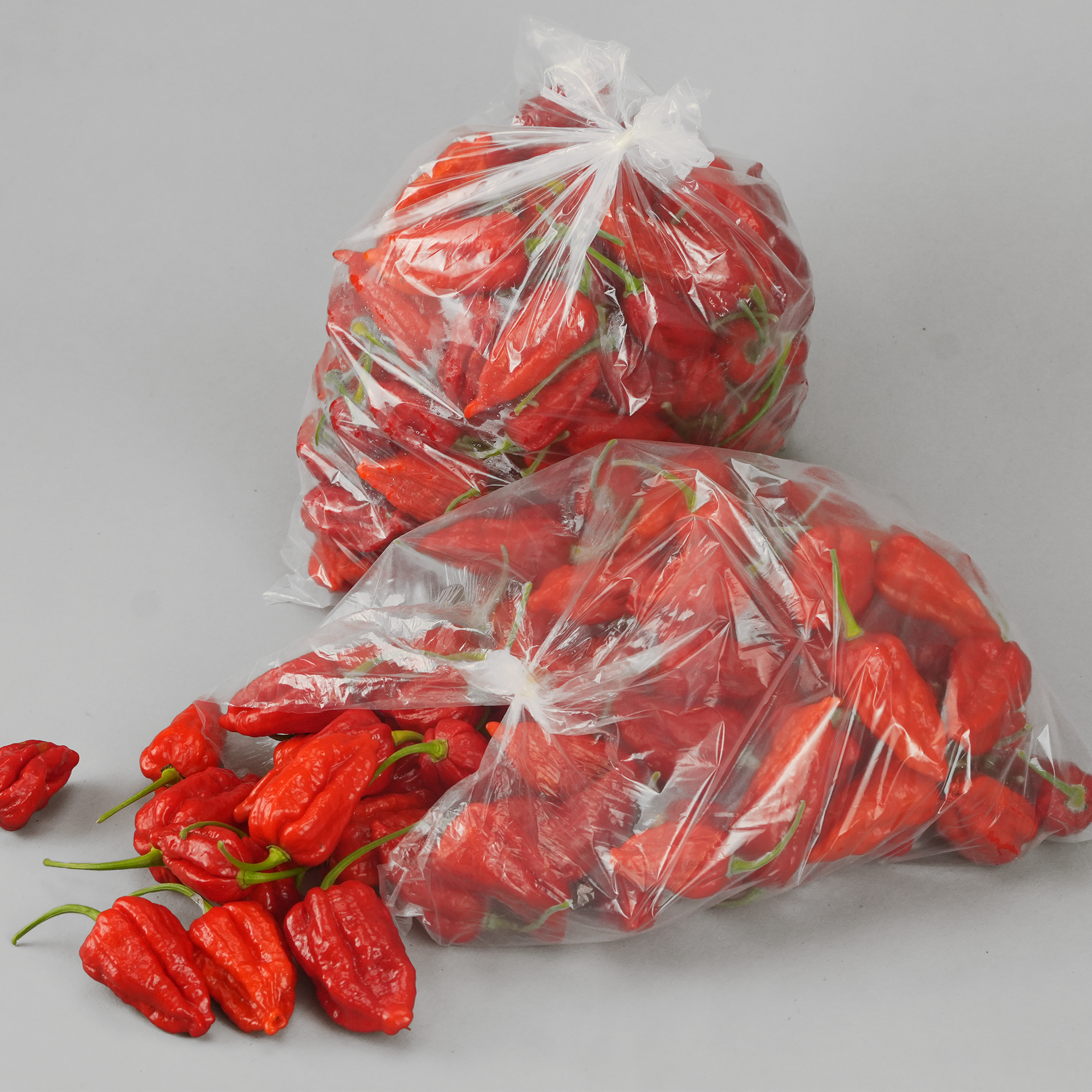 Fresh Dorset Naga Chilli-1 - product image